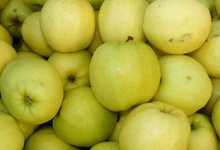 Pommes Golden