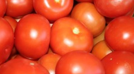  Tomate ronde