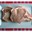 Colis Barbecue - 5 kg viande porc - 