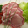 Côtes de porc