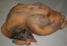 Pintade fermière