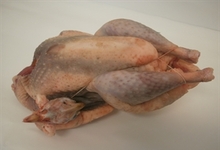 Pintade Chapon fermière