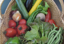 Panier de légumes bio de saison (2-3 personnes)
