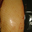Magret de canard frais