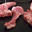 Côtes d'agneau bio