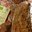 pain au lin bio