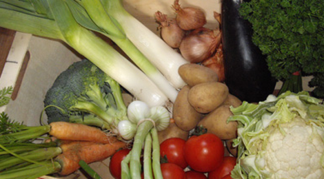 Le panier famillial de légumes des Jardins Bio des Monts de Gy, entre 4.5 et 5 kg