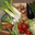 Le panier famillial de légumes des Jardins Bio des Monts de Gy, entre 4.5 et 5 kg