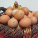 Les œufs fermiers de la ferme Jean Duchène à Fougerolles