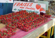 fraises