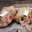 poulets