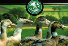 Route du Foie Gras