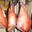 Jambon fumé