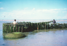 La pêcherie « La Maillard »  