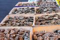 huîtres de Saint-Vaast de Gouville-sur-Mer et d'Isigny-sur-Mer