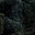 Moule de Bouchot