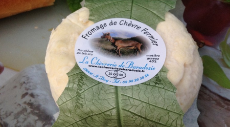 Fromage de Chèvre 1/2 sec nature 