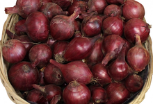 Oignons rouges. 