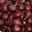 Oignons rouges. 