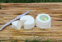 Crottin frais de brebis 
