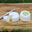 Crottin frais de brebis 