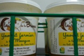 Panier de 4 yaourts à la mangue 