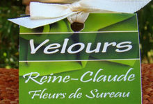 Velours Reine-Claude - Fleurs de Sureau 