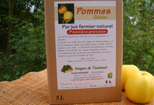 Jus de pommes Golden en Bag In Box