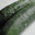 Lot de 2 concombres cornichon 