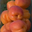 Barquette abricots 500 gr 