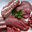  Colis de veau lourd format familial 5 Kg