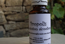 Propolis en solution alcoolique