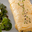  Omelette à la Vichy Célestins