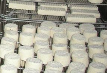 fromages de chèvre