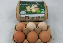  6 Œufs bio de ferme 