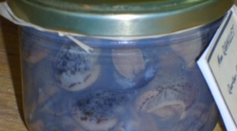 Escargots au naturel, court-bouillonnés 2 douzaines Belle grosseur
