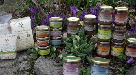 Crèmes de châtaigne 