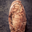 le pain aux noix