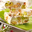 Nougat blanc au miel d’Acacia, amandes et pistaches