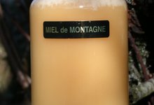 miel de montagne du Sancy AB
