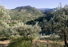 La Font de Ladon 