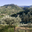 La Font de Ladon 