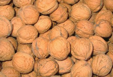 noix