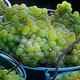 Fête des Vendanges et des Châtaignes