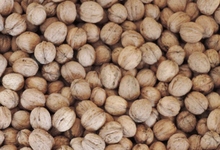 Noix A Decortiquer Du Jura 1 Kg
