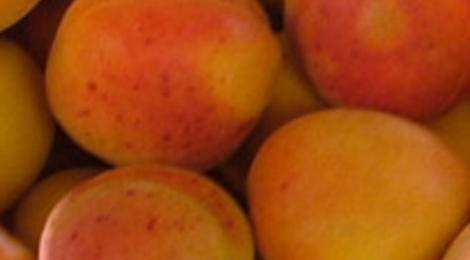 Abricots