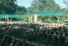 Les Escargots de Tusey