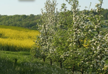  La Ferme D' Hotte 