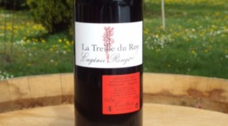 La Treille du Roy Côtes du Lot Rouge