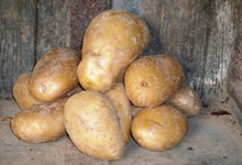 Pommes de terre Spunta